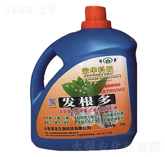 �l(f��)����������-�s�A����