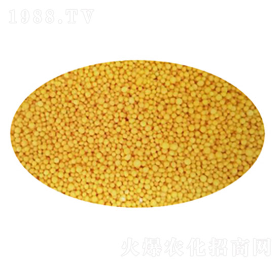 ��֬���������w��-ʢ���Ƴ�