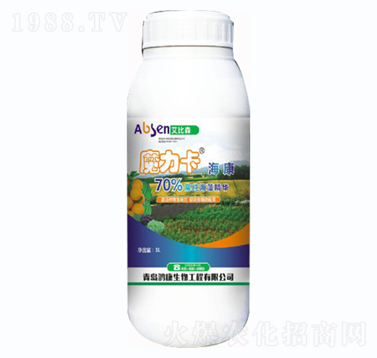 ħ��������-����ɭ-��������