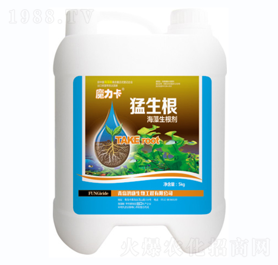 ħ����������-��������