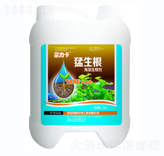 ����������-������-ħ����-��������