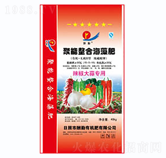 �������⌣�þ������Ϻ����-����