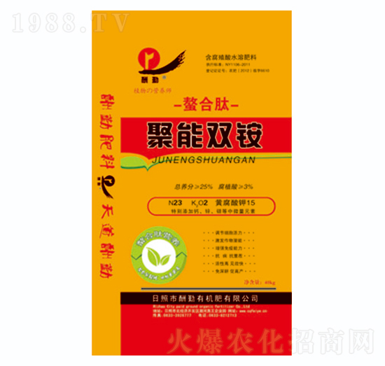 �����ľ����p�@-����