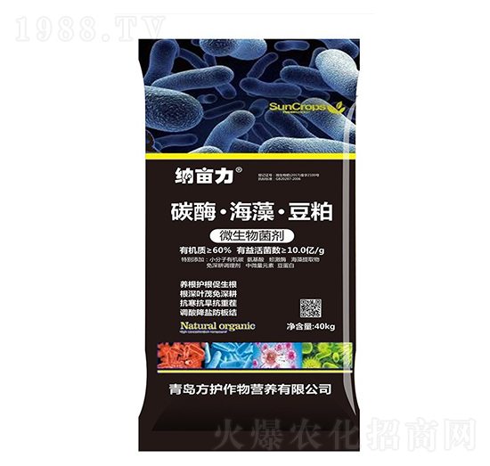 ̼ø���嶹��΢�������-�{����-���o����