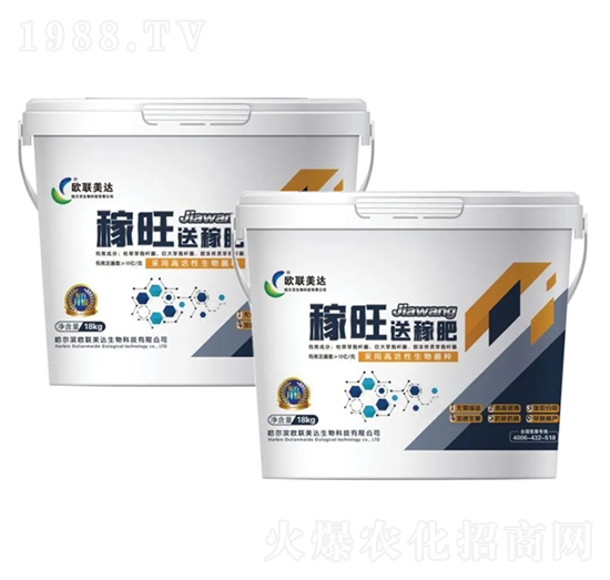 �W���_������-�W���_