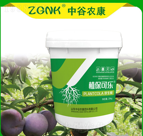 ������-ֲ���ɘ�-�й��r(n��ng)��