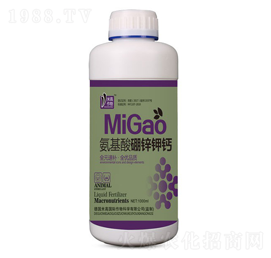 ���������\��}-ʥ�ϝ�