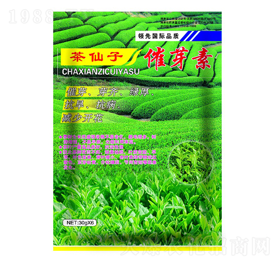 �����Ӵ�ѿ��-����ʘI(y��)