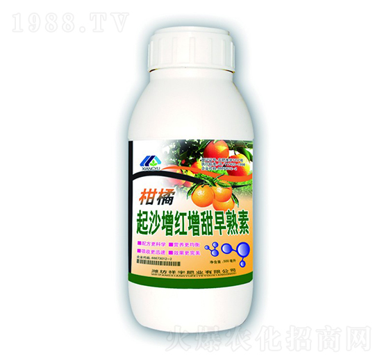 ����������-����ʘI(y��)