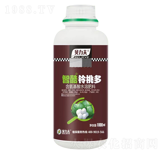 �ǿ���Ҷ�-ؐ����-��?t��ng)��S