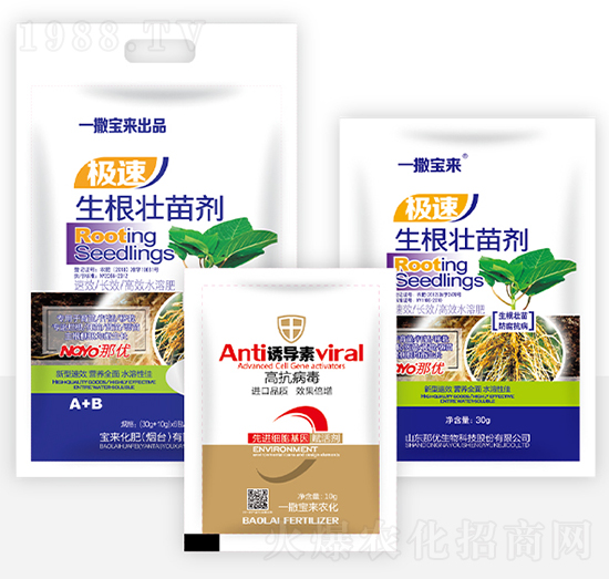 �������焩+�T��(d��o)��-һ������