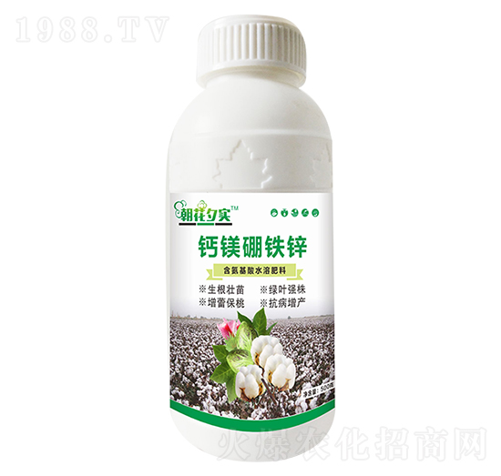 �}�V���F�\-����Ϧ��(sh��)-�����r(n��ng)�I(y��)