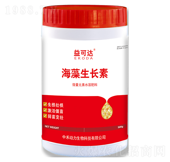 �������L��-����_-�к̄���