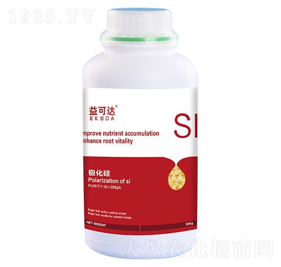 �O����-����_-�к̄���