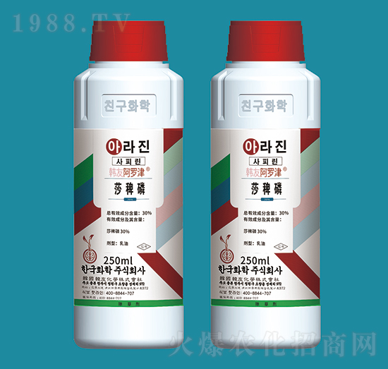 30%ɯ����-���_��-�n�ѻ��W