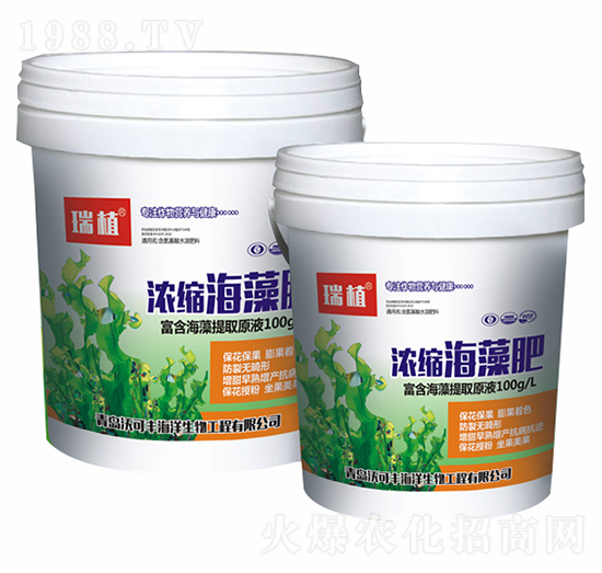 ��s�����-�ֿ��S