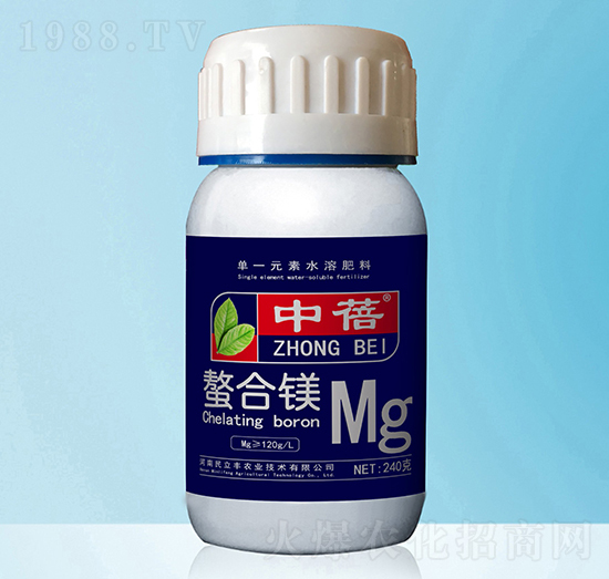 �����V-����-�����S