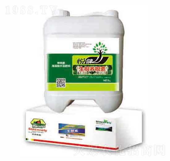 �����B(y��ng)����-����-�|�Ҙ�