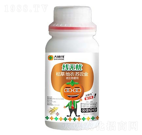 ���o(w��)�n��΢���������-������