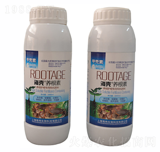 海殼養(yǎng)根素-海殼生物