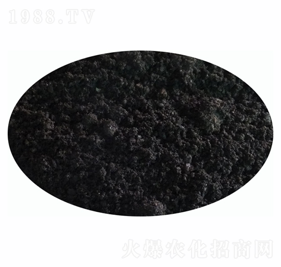 ԭ�϶�����-�|�ξ�