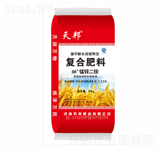 66���i�\���@��(f��)�Ϸ���-���-�f��