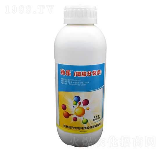 1000ml�Ř���(x��)��������-���_����