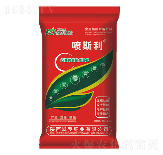 ��˹�������S����������-�P�_�ʘI(y��)