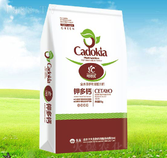 ⛶��}-������(y��u)-����