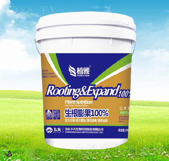 �������-ֲ��-����