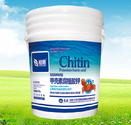 �ך��ظ�ֲ���-����