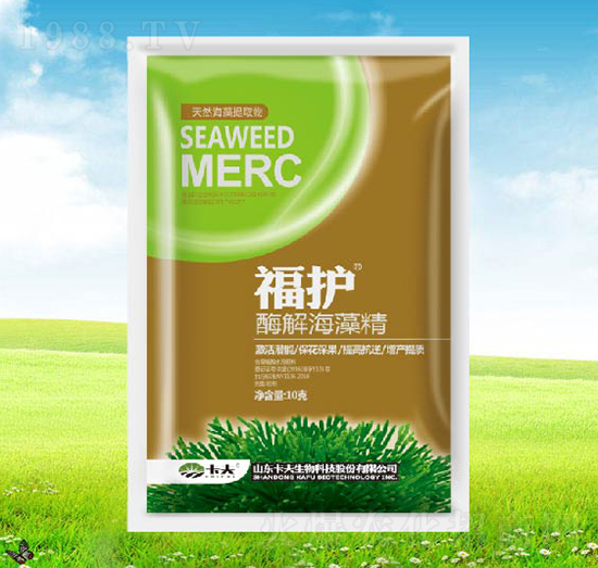 ø�⺣�徫-���o(h��)-����