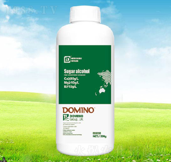 ���\�}�V�F-�����Z��ƿ��-����