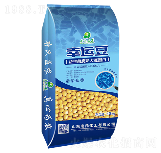 ����������󶹵���-���\��-���ϻ���