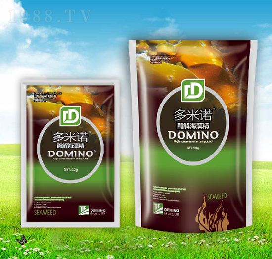 ø�⺣�徫-�����Z-����