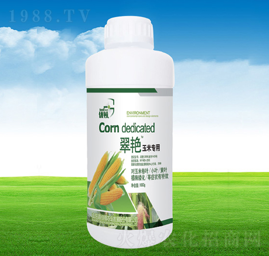 ���G���׌���-�μѸ�