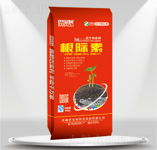 ΢�������-���H��-�͌����r(n��ng)