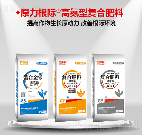 �ߵ��͏ͺϷ���-�͌����r(n��ng)