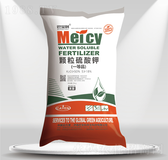 �w�������-�͌����r(n��ng)