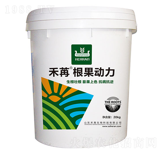 ���ۡ�������(d��ng)��-��������