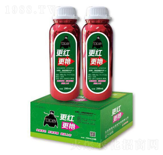 ���t���G�~���-�ڰ���