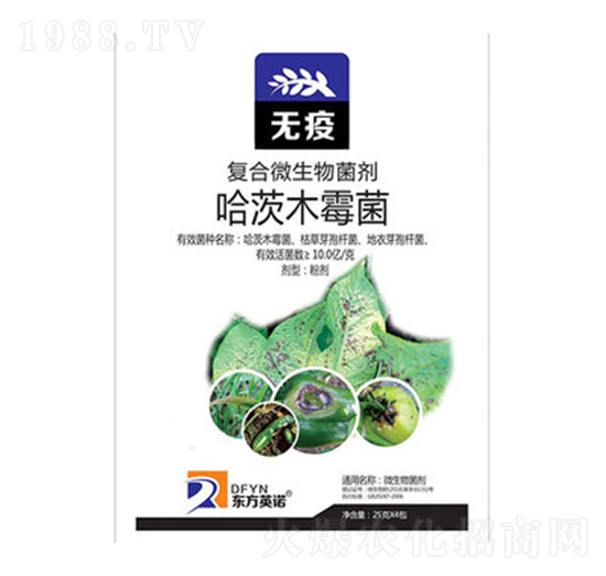 ����ľù��-�o��-�|��Ӣ�Z