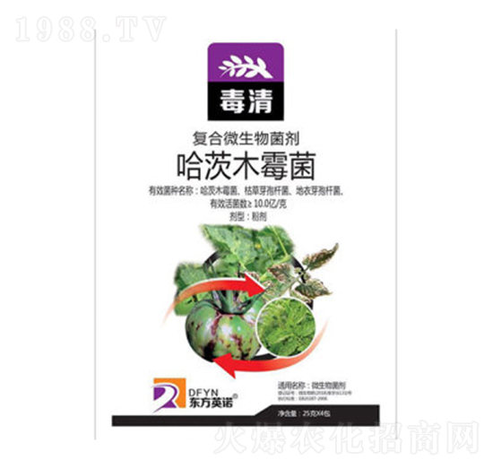 ����ľù��-����-�|��Ӣ�Z