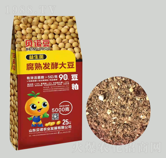 ����������l(f��)�ʹ�-ؐ�Z��-ؐ�Z