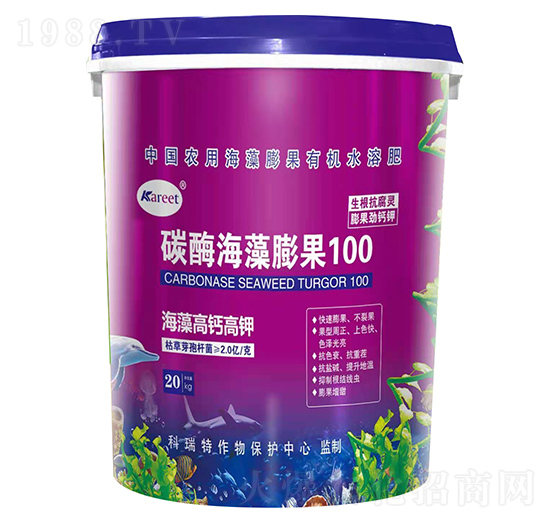 ̼ø�������100-������