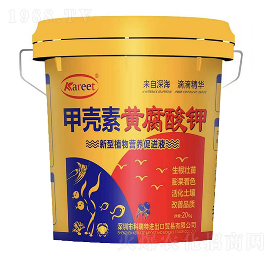 �ך����S�����-������