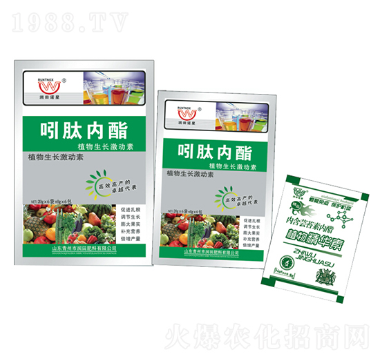 ���ă�(n��i)֬A+B-�������