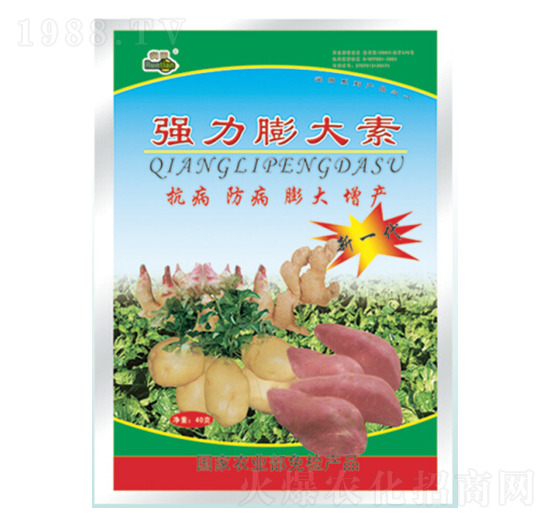 ��(qi��ng)�������-�������