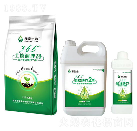 365������ˣ��M�ϣ�-�ں�����