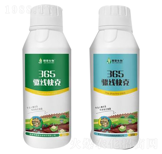 365�(q��)��(xi��n)���-�ں�����